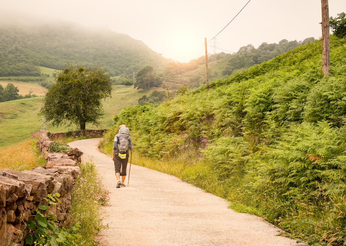 Camino Hiker