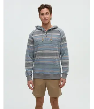 TENTREE TenTree Woodrow Hoodie Brushed Organic Cotton Hoodie