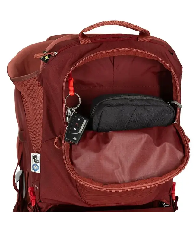 Osprey Poco LT Child Carrier