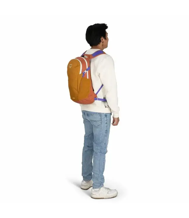 Osprey Daylite Everyday Pack