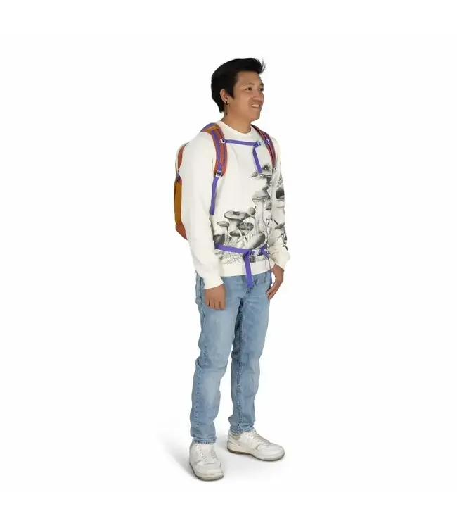 Osprey Daylite Everyday Pack