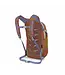 Osprey Daylite Everyday Pack