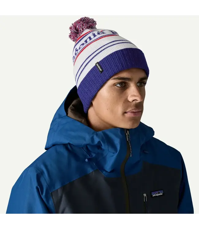 Patagonia Powder Town Beanie