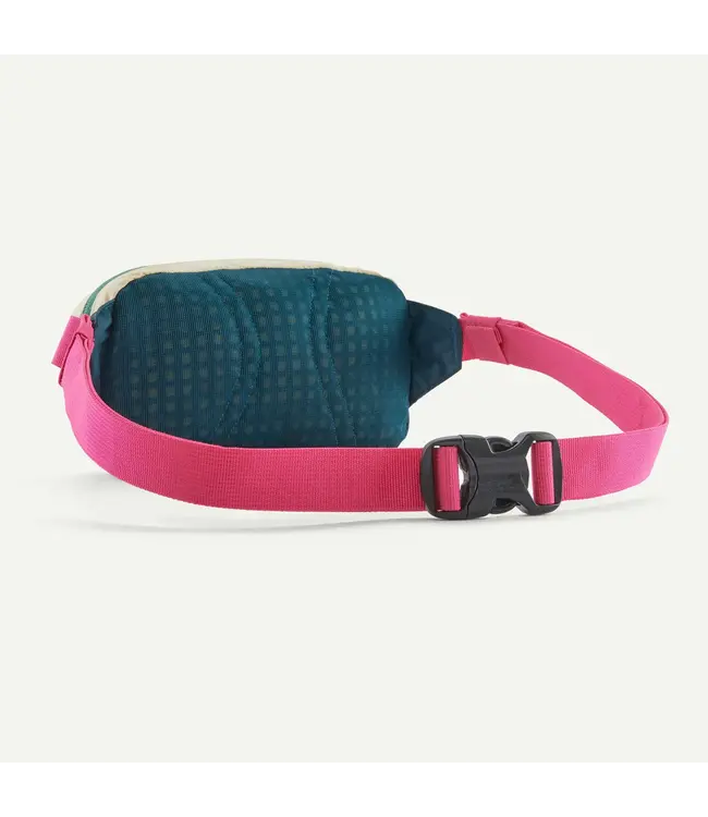 Patagonia Terravia Mini Hip Pack 1L
