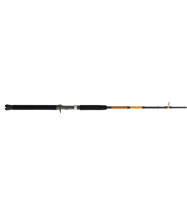 Ugly Stik Bigwater Conventional Rod [BW4080C801]