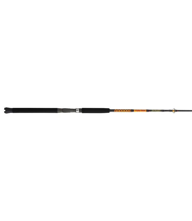 Ugly Stik Bigwater Conventional Rod [BW4080C801]