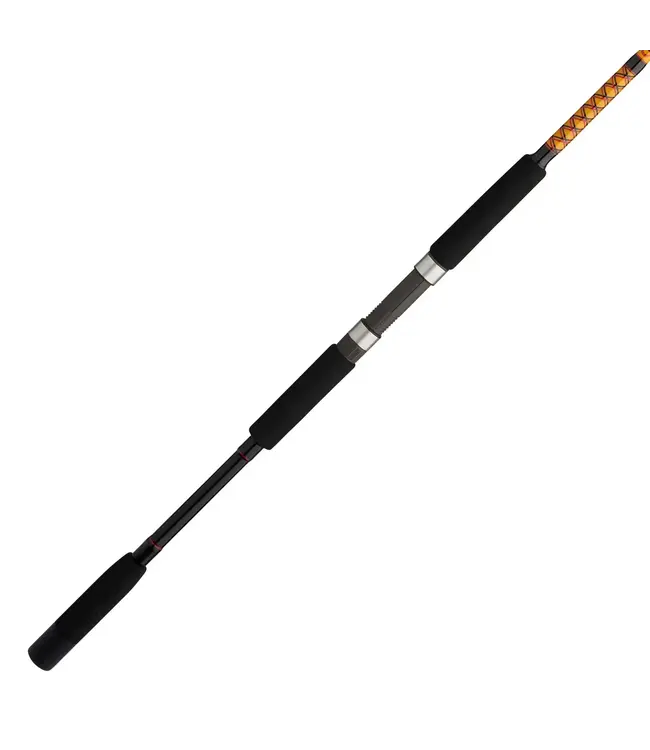 Ugly Stik Bigwater 2-Piece Spinning Rod
