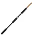 Ugly Stik Bigwater 2-Piece Spinning Rod