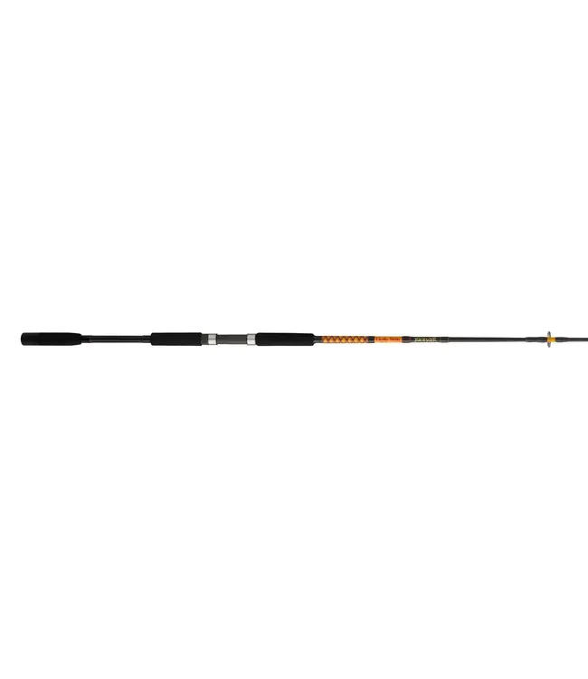 Ugly Stik Bigwater 2-Piece Spinning Rod