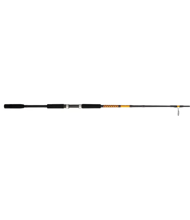 Ugly Stik Bigwater 2-Piece Spinning Rod