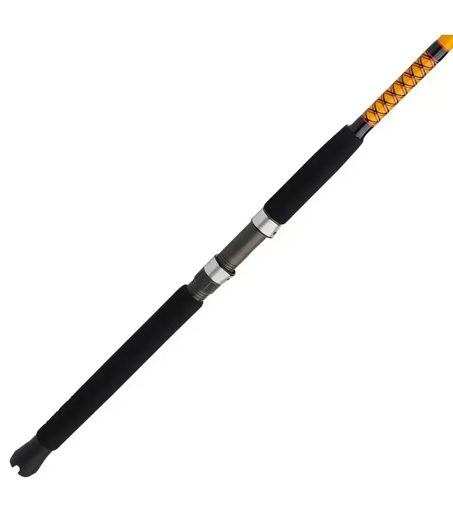 Ugly Stik Bigwater 2-Piece Spinning Rod