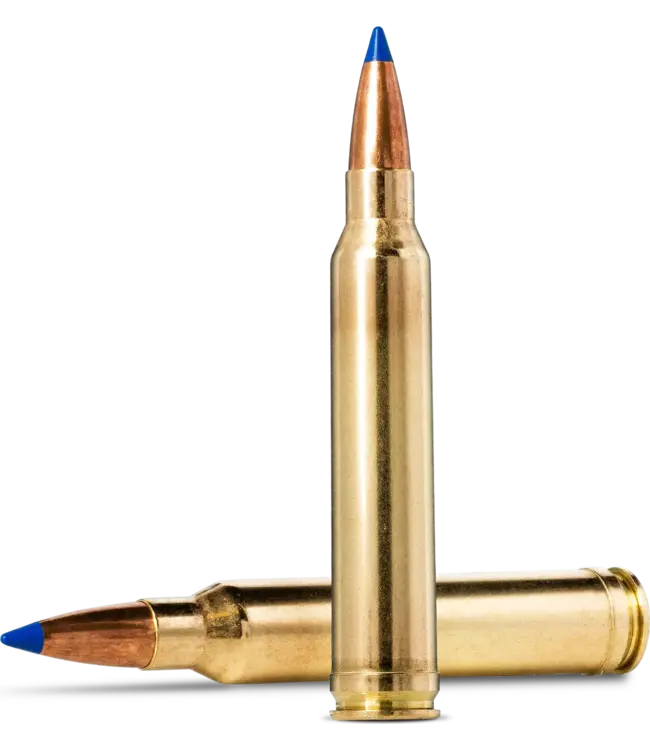 Norma Bondstrike Ammunition - .300 Winchester Magnum, 11.7g