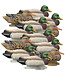 Higdon Standard Foam Filled Mallard Decoy 12PK