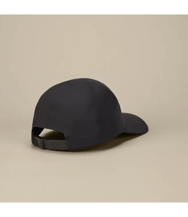 Arc'teryx  Bird Word Cap
