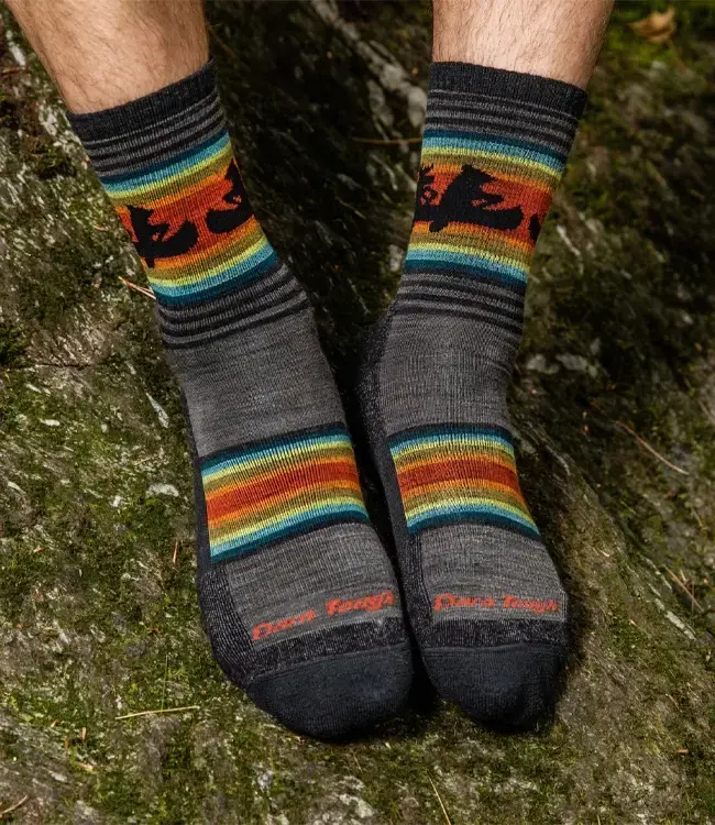 Darn Tough Men's Willoughby Micro Crew Lightweight Hiking Socks