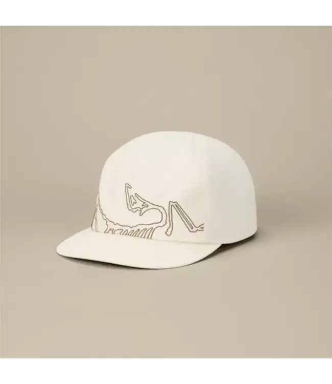 Arc'teryx  Silex Cap