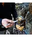 Outdoor Edge ChowPal Camp Utensil