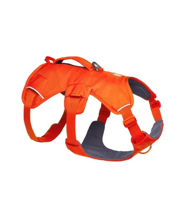 Ruffwear Web Master Dog Harness with Handle