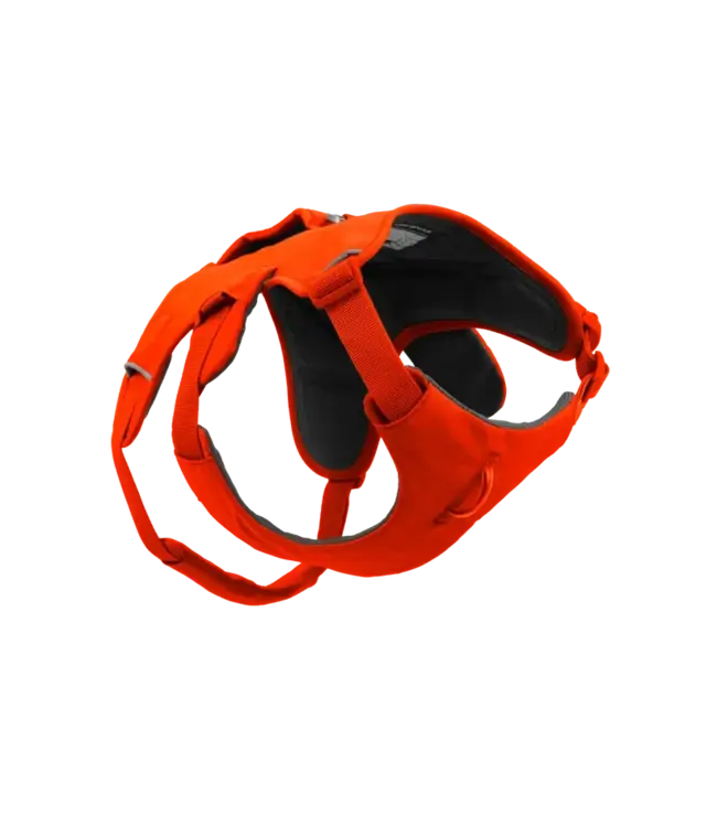Ruffwear Web Master Dog Harness with Handle