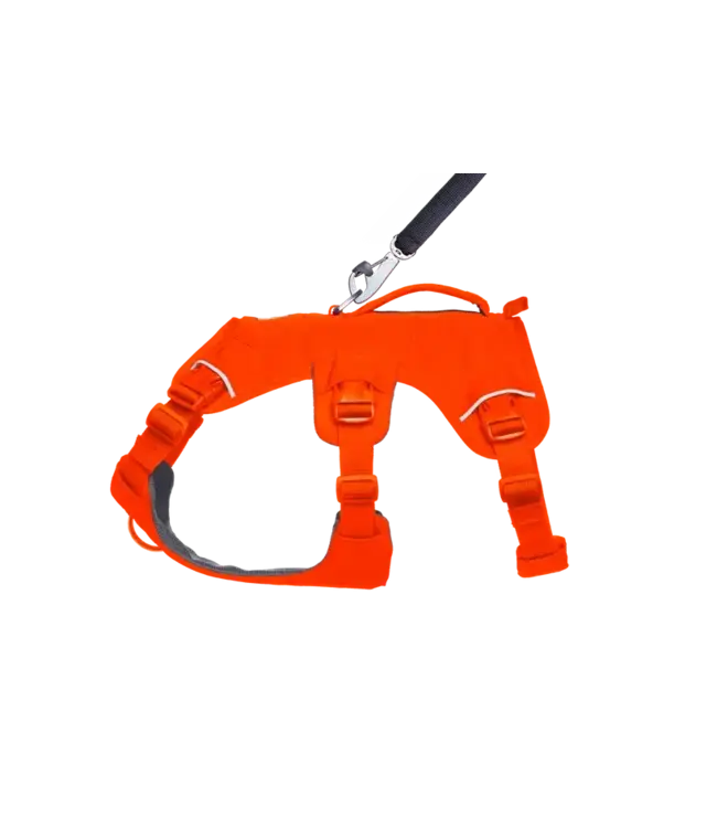 Ruffwear Web Master Dog Harness with Handle