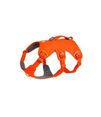 RUFFWEAR Ruffwear Web Master Dog Harness with Handle