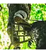 Hawk Hunting Helium Hammock Full Platform