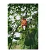 Buck Bomb Scrape Kit Plus w/ Scent Hammock