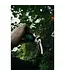 Buck Bomb Scrape Kit Plus w/ Scent Hammock