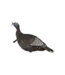 Flextone Thunder Jake Decoy