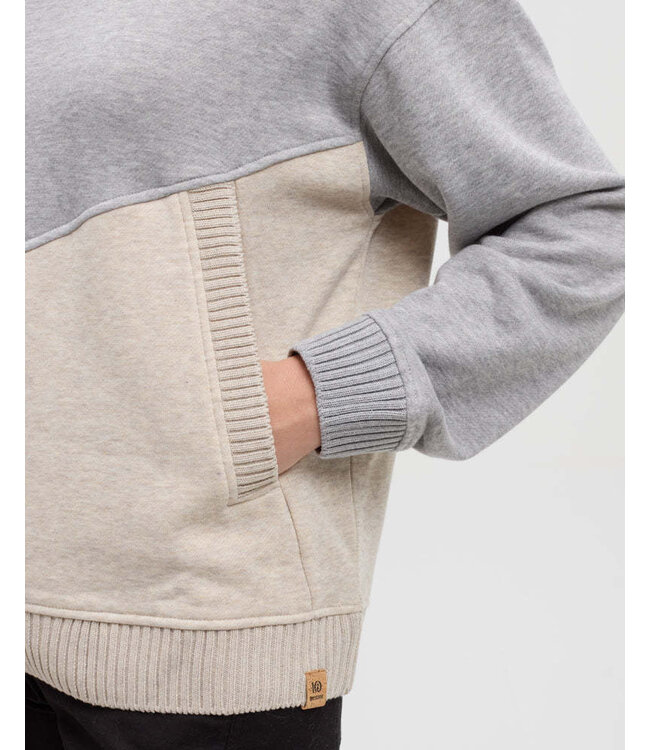 Tentree Women's Foster Relaxed Blocked Hoodie