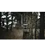 Spypoint FLEX-M2 Cellular Trail Camera