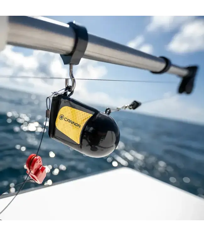 Cannon Downrigger Weight - 10 lb