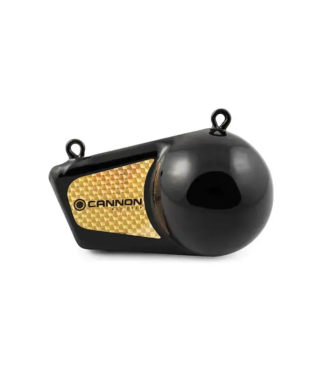 Cannon Downrigger Weight - 10 lb