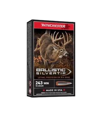 WINCHESTER Winchester Ballistic Silvertip Ammunition - 243 Winchester, 95 Grain