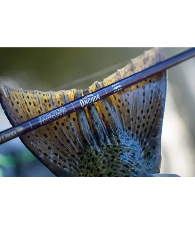 St. Croix Onchor Spinning Rod