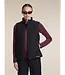 Icebreaker Women's Merino 200 Oasis Long Sleeve Thermal Crew Neck Base Layer