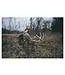 Alps Outdoorz Cruzer Pack - 17L, Coyote Brown