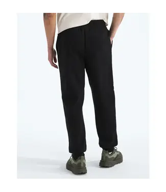 THE NORTH FACE The North Face Men’s Evolution Simple Dome Regular Joggers