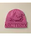 Arc'teryx Bird Word Toque