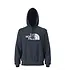 The North Face Men's Evolution Half Dome Regular Hoodie