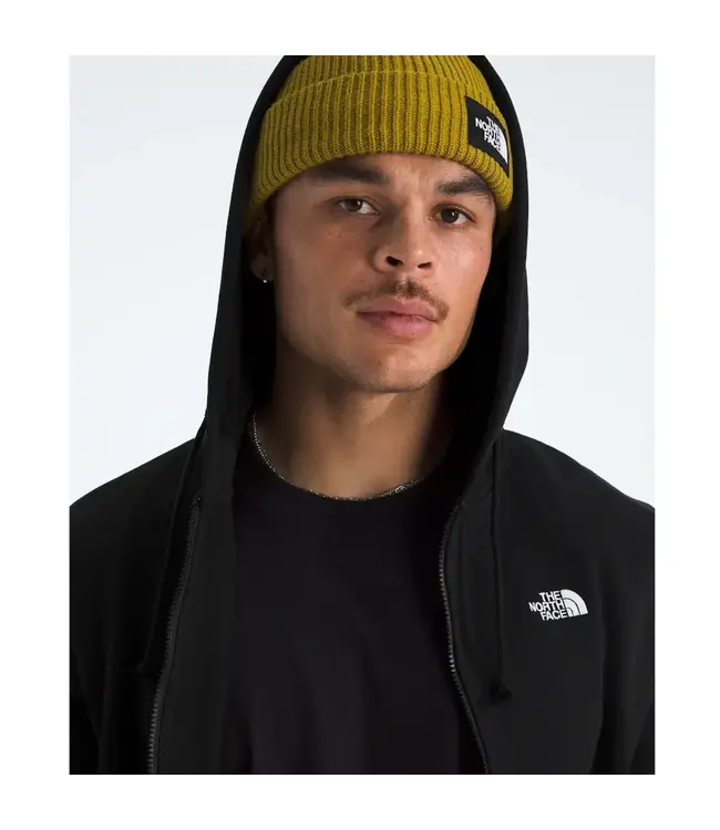 The North Face Men’s Evolution Simple Dome Regular Full Zip Hoodie