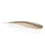 Berkley Lab Series Minnow