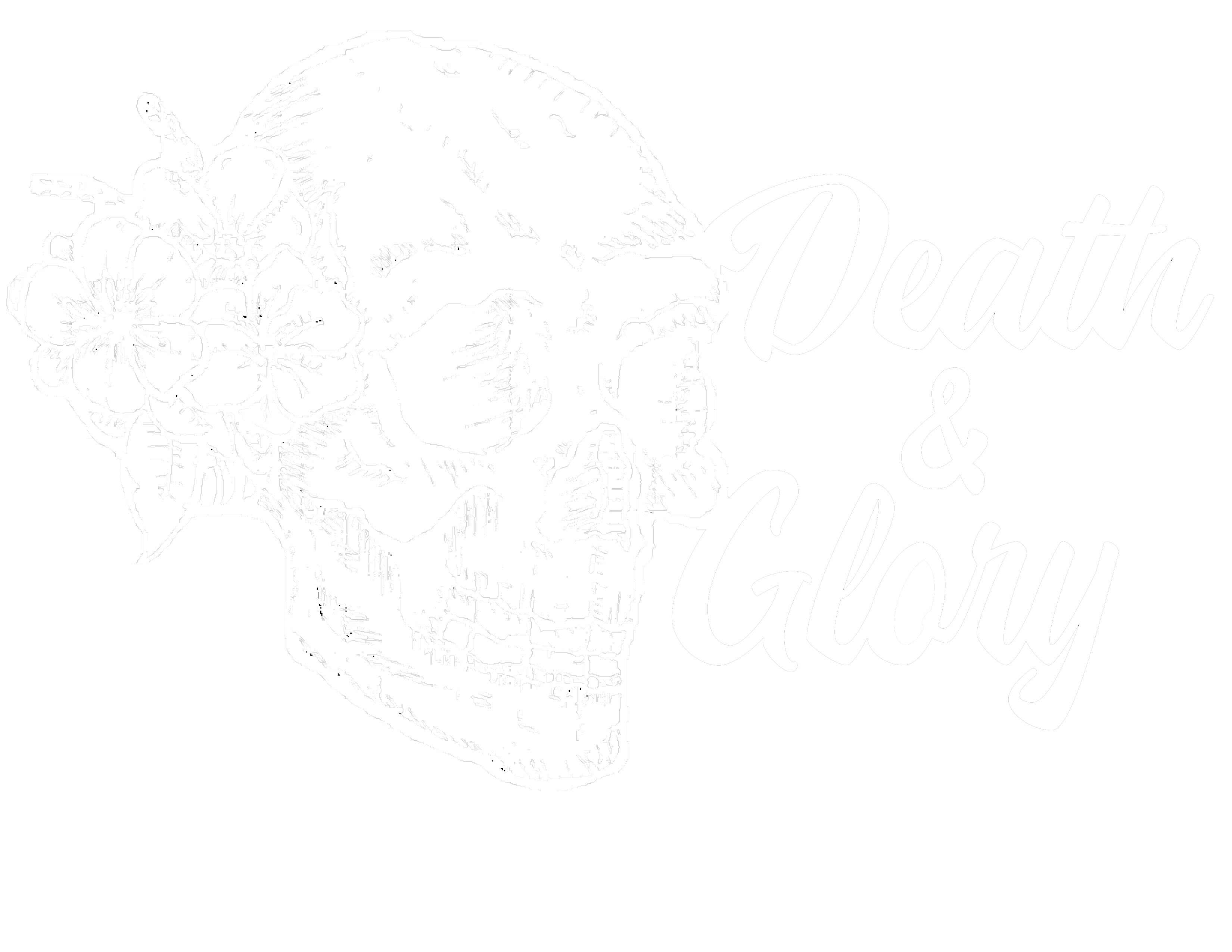 Death and Glory Skate Shop