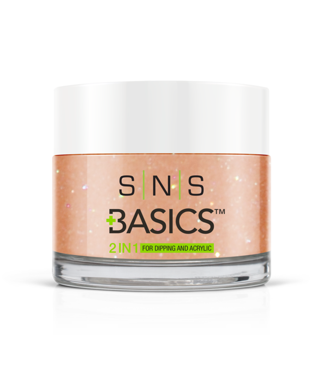 P117   Basics  2 in 1 Acrylic & Dipping Powder