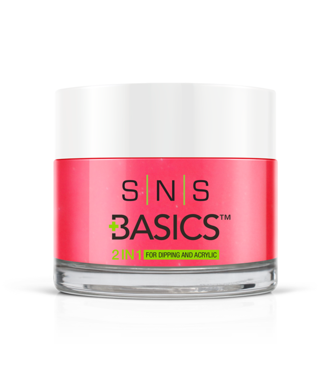 P004   Basics  2 in 1 Acrylic & Dipping Powder