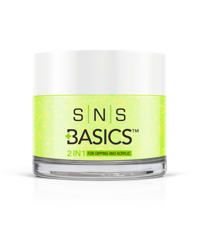 P006  Basics  2 in 1 Acrylic & Dipping Powder