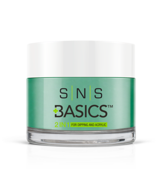 SNS#P015    Basics  2 in 1 Acrylic & Dipping Powder