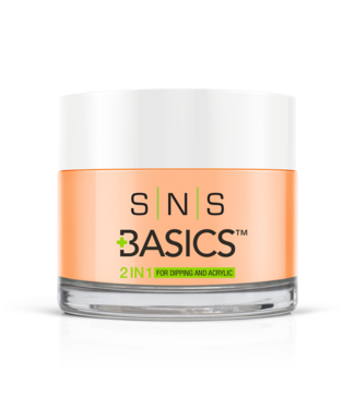 SNS#P022    Basics  2 in 1 Acrylic & Dipping Powder
