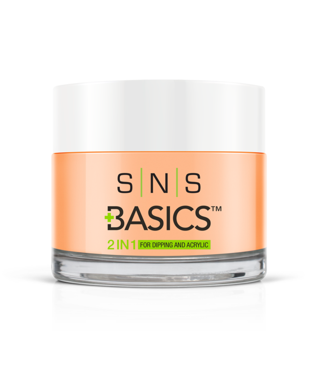 SNS#P022    Basics  2 in 1 Acrylic & Dipping Powder
