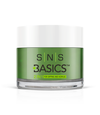 SNS#P024    Basics  2 in 1 Acrylic & Dipping Powder